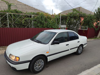 Nissan Primera foto 3