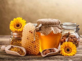 Miere de albine angro , Пчелиный мёд оптом.