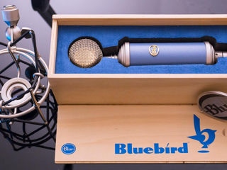 Blue Microphone Bluebird SL