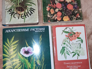Книги, открытки: медицина, уход за детьми, лекарственные растения, цветы, психология, этикет foto 4