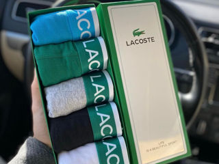 Lacoste , Calvin Klein , Tommy Hilfiger, Louis Vuitton foto 8