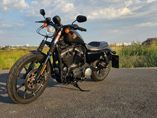 Harley - Davidson Sportster Iron 883 foto 4