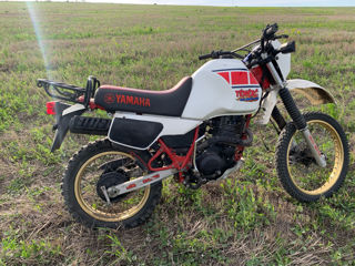 Yamaha Tenere Xt600z foto 2