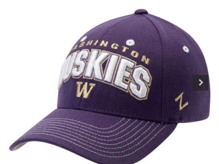 Men's Zephyr Purple Washington Huskies Varsity Flex Hat