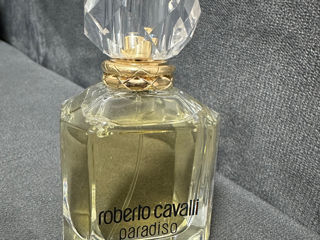 Roberto cavalli paradiso foto 1