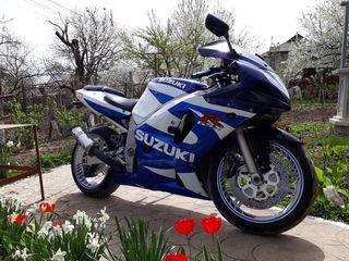 Suzuki Gsxr 600 foto 1