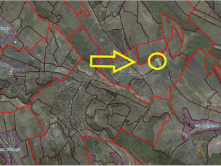 Strășeni Teren  Agricol - 4 hectare comuna Greblești foto 2