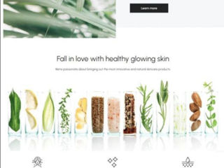 Creez magazin online pe platforma shopify (Landing page / Dropshipping / de toate tipurile) фото 5