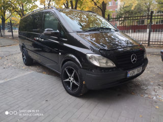 Mercedes Viano foto 1