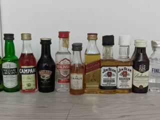 Colecție de mini sticluțe cu conținut alcoolic, Коллекция мини бутылочек с алкогольным содержимым.