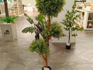 Plante decorative artificiale / Perete din plante artificiale foto 7