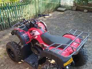 Boss ATV Hammer 180cc foto 6