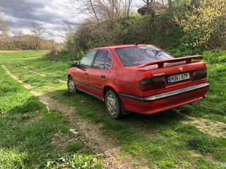 Nissan Primera foto 6