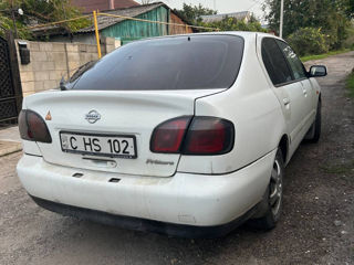 Nissan Primera foto 2