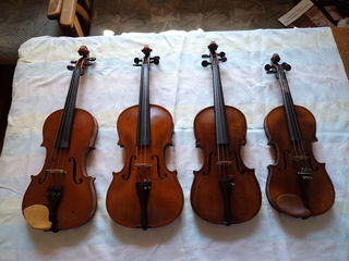 Скрипки все размеры от 1500.