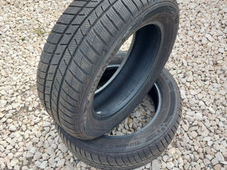 Barum 205/55 R 16 foto 1