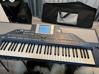 Vind KORG PA800 ideal