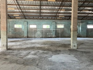 Chirie, spațiu industrial, s. Bălăbănești, 2500 m.p., 350000€ фото 3