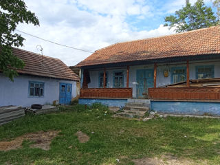 Casa bătrânească la Molovata фото 3