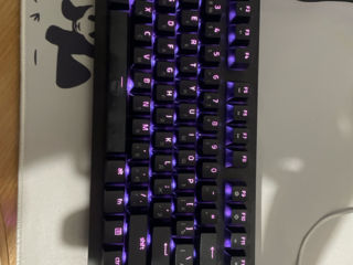 Razer huntsman TE