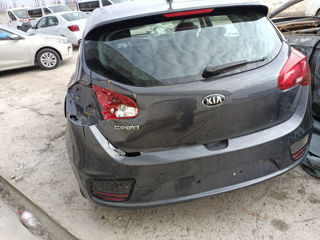 KIA Ceed foto 1