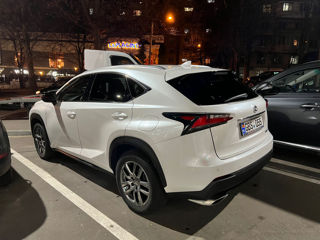 Lexus NX Series