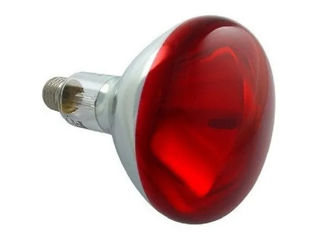 Emițător termic, lampă cu infraroșu pentru încălzirea păsărilor și animalelor ICKPA, reflector R125,