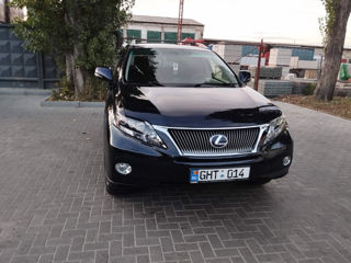 Lexus RX Series