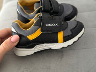 geox 24