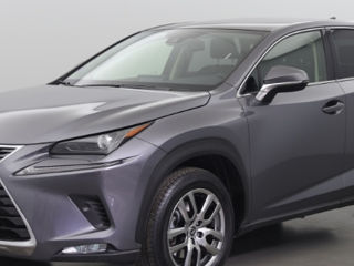 Lexus NX Series