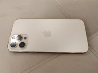 Apple 12 Pro Max     iPhone 12 Pro Max