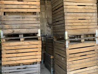 Containere din lemn pentru mere