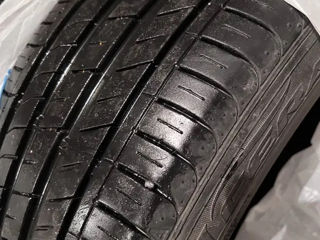 225/45 R18 95Y Nexen NFera SU1 foto 6