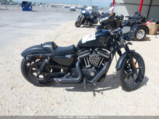 Harley - Davidson XL883 N foto 11