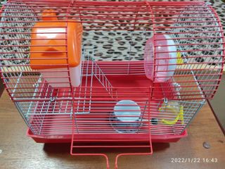 Red Tube Hamster