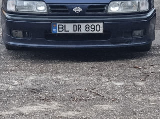 Nissan Primera foto 3