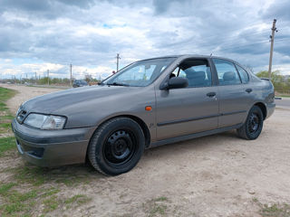 Nissan Almera foto 6