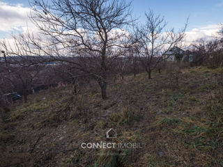 str. Schinoasa, Singera, Chisinău foto 5