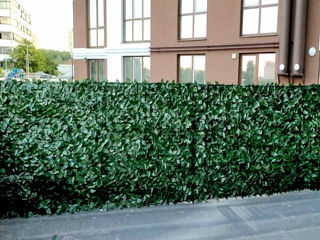 Искусственные зеленые стеновые панели.Panouri de perete verzi artificiale. foto 15