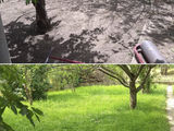 Сеем газон, укладываем рулон, ставим систему полива, подготавливаем территорию. foto 5