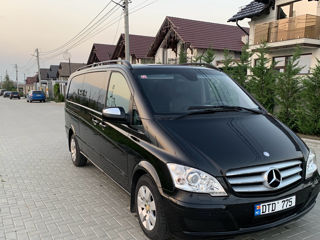 Mercedes Viano