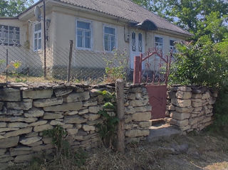 Căsuța în satul Mereșeuca, 8 km de la Naslavcea foto 1