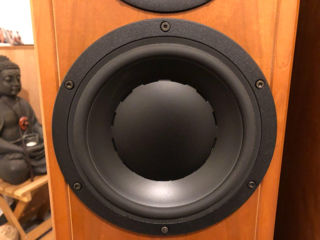 Dynaudio contour 3.3 hi-end. foto 3