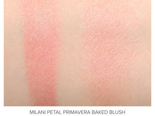 Румяна Stagenius liquid blush (01 Sakura), Milani (Petal primavera) foto 8