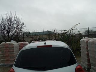 Renault Clio foto 5