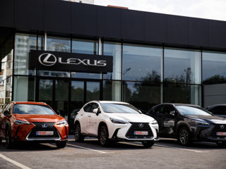 Lexus Chisinau