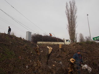 Вывоз много мусора. Evacuarea gunoiului foto 5