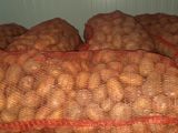 Cartofi de semințe și de mîncare. foto 2
