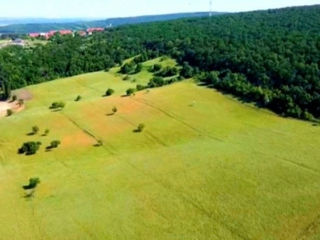 Hincesti 19 hectare pe un număr cadastral marginea orasului lingă pădure foto 9