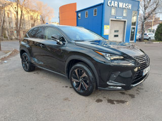 Lexus NX Series